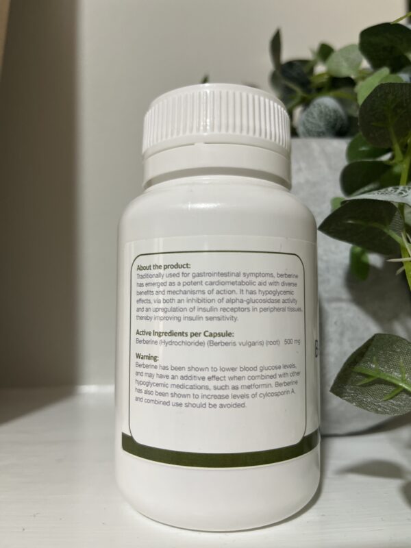 Berberine 500mg - Image 2